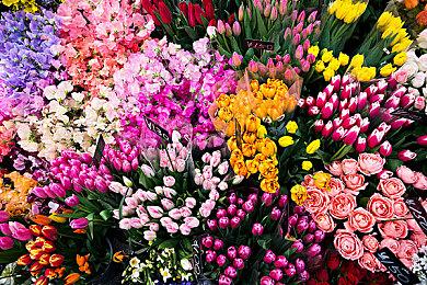 暴雪创始人谈暴雪傲慢的教训 新作或与《哈迪斯》类似